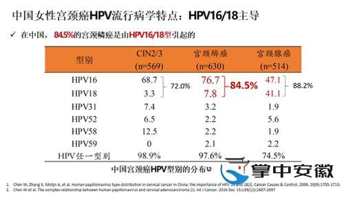 国产你懂的网站  第3张