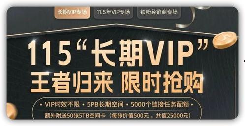 永久国产  第2张