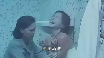 国产女同调教,探索情感与成长的独特旅程  第2张