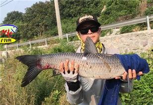 青鱼视频国产,青鱼视频引领国产短视频新潮流 第3张 青鱼视频国产,青鱼视频引领国产短视频新潮流 第3张