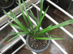 国产草b 第2张 国产草b 第2张