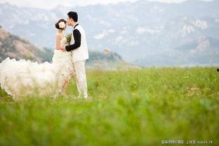 青青青草国产费观看,国产费观看的青春记忆 第1张 青青青草国产费观看,国产费观看的青春记忆 第1张