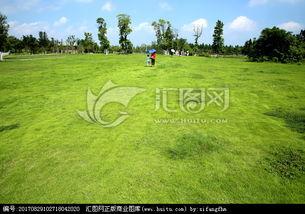 青青青草国产费观看,国产费观看的青春记忆 第2张 青青青草国产费观看,国产费观看的青春记忆 第2张